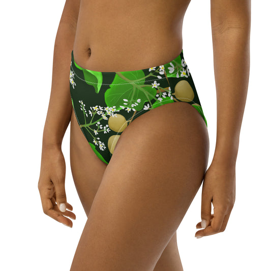 hawaii kukui nut flower bikini bottom front